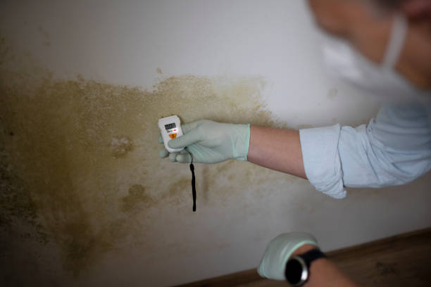 Best Crawl Space Mold Removal  in Grantsville, UT