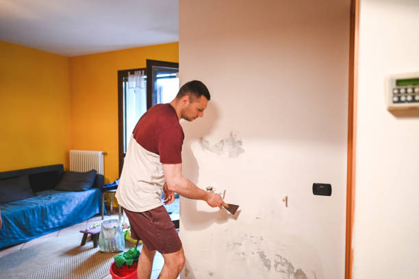 Best Attic Mold Removal  in Grantsville, UT